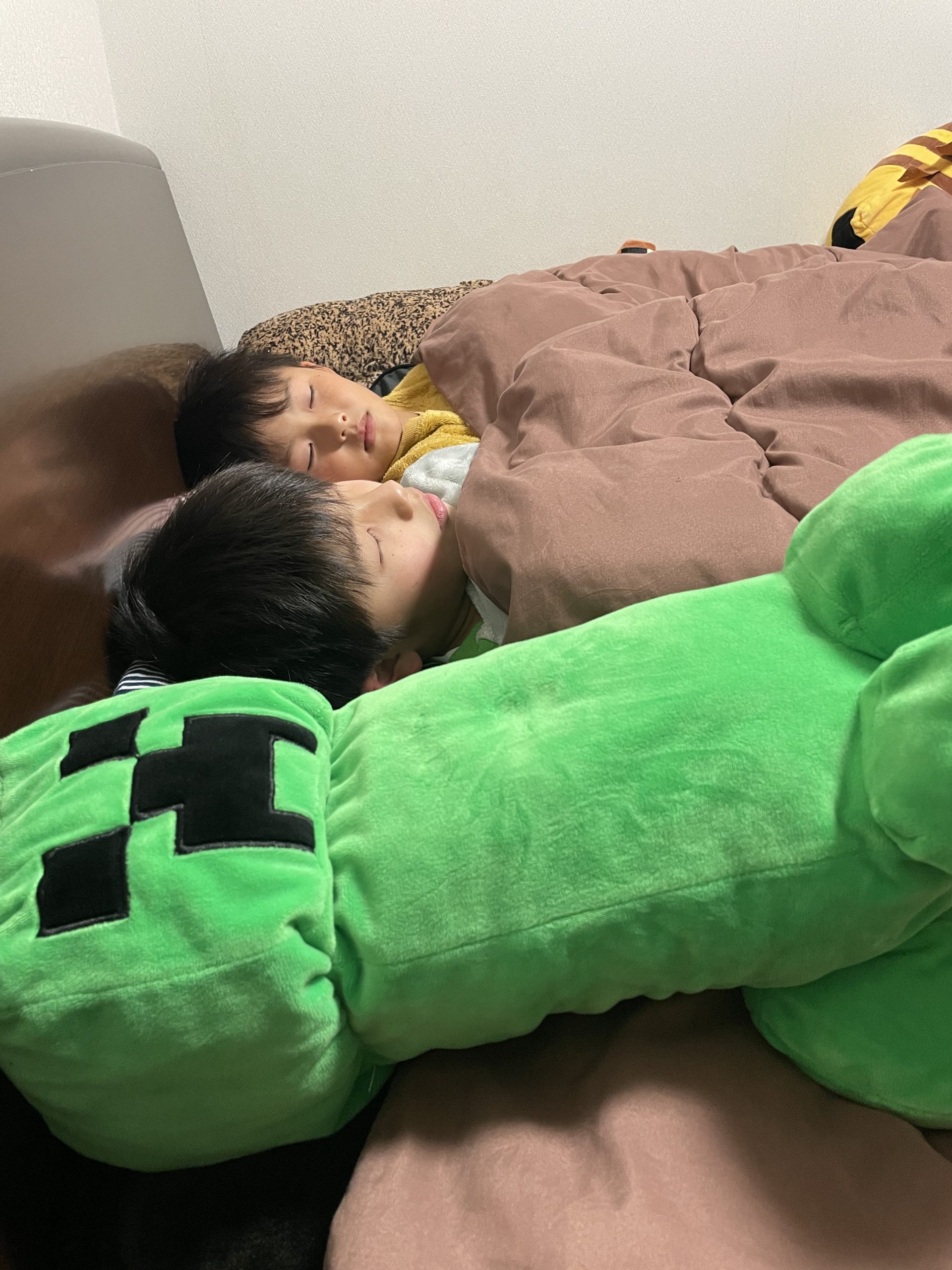 今日の誕生花