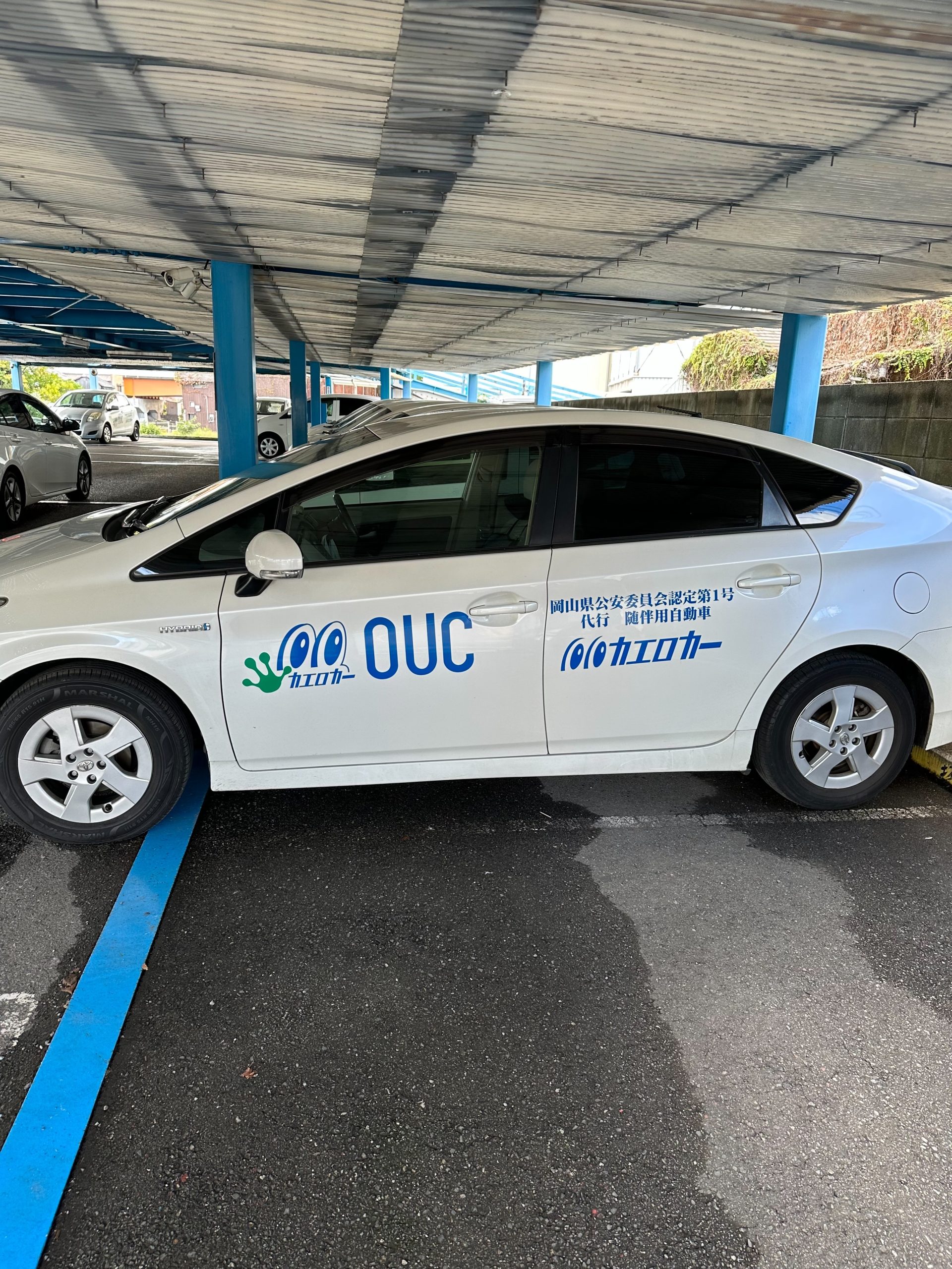 飲酒運転同乗者も厳罰